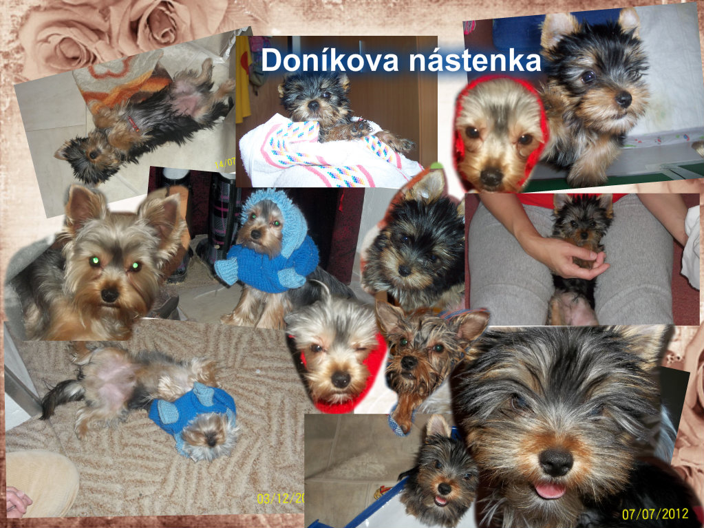 0-00 doník pizap